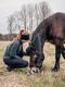 961200 black Horse Girl Image